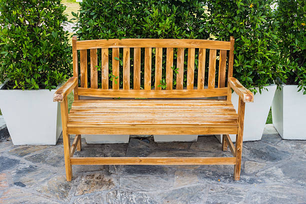 istock Chair in the park 533553081