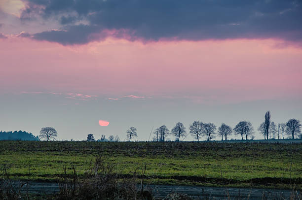 istock Picture of early spring 533553114