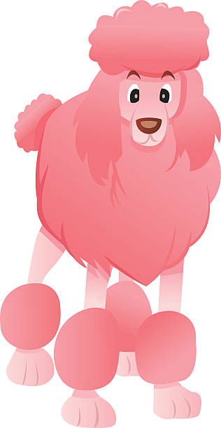 Cartoon Pink Poodle Stock Illustration - Download Image Now