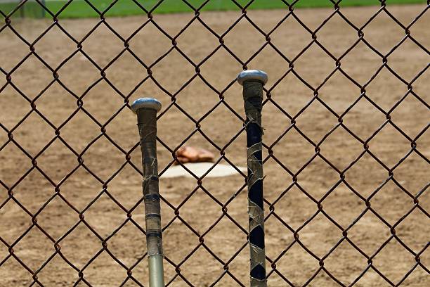 istock Bats against the Fence 533553990