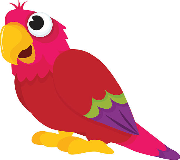 мультяшный попугай - parrot multi colored bird perching stock illustrations