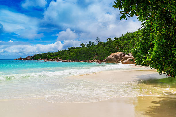 istock Anse Lazio, Praslin island, the Seychelles 533554387