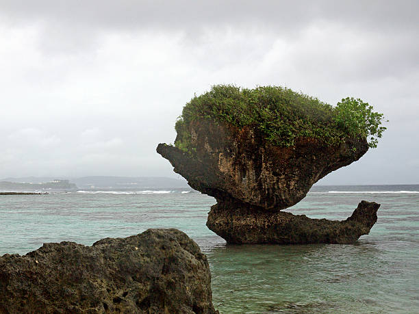 istock Rock in the ocean 533554661