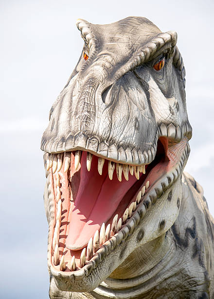istock Portrait of a T-Rex 533554982