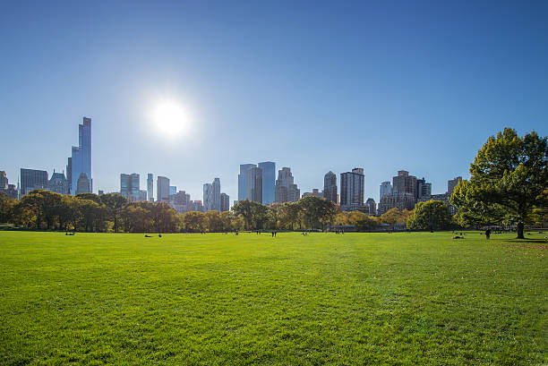 istock Sheep's Meadow at Central Park on a clear summer day 533555472
