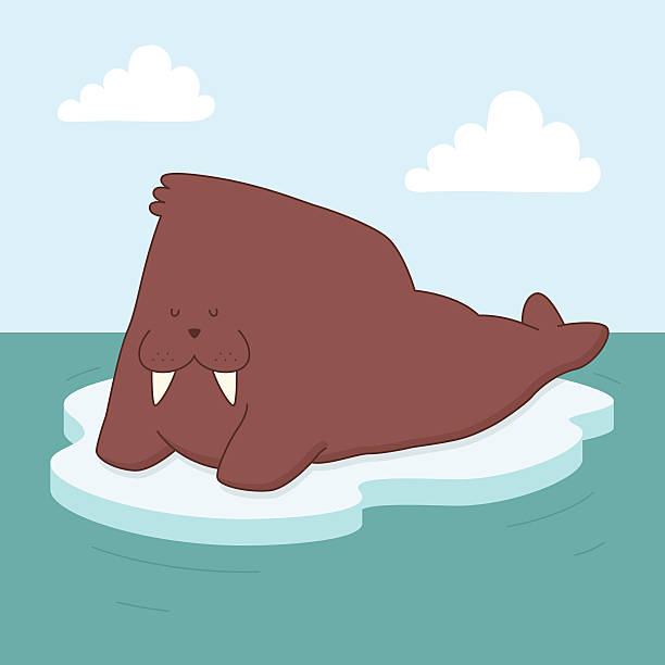 Walrus on Ice vector art illustration
