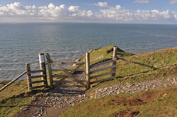 istock Southwest Coast Path at Baggy Point 533558329