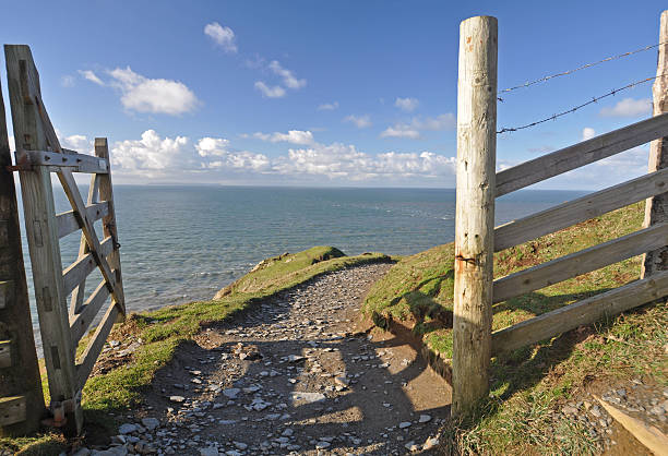 istock Southwest Coast Path at Baggy Point 533558335