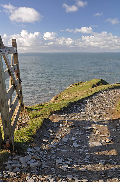 istock Southwest Coast Path at Baggy Point 533558341