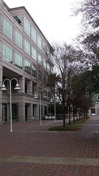 istock Cold and Dank Pathway of Business Buildings 533559400