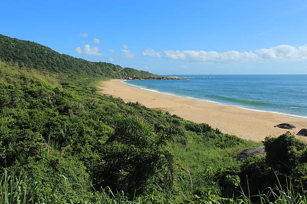 istock Balneario Camboriu - Brazil 533561706
