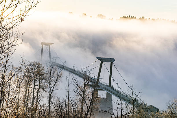 istock Footbridge in early morning mist 533561828