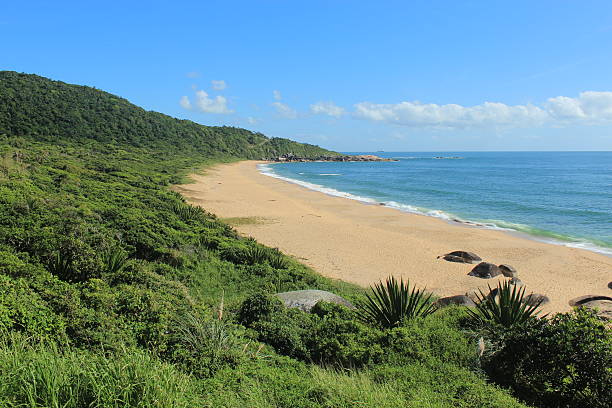 istock Balneario Camboriu - Brazil 533562248