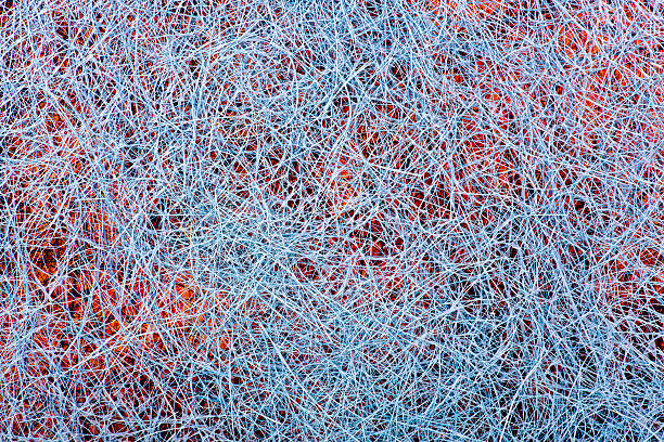istock Abstract image of a plurality of intertwined strands 533564186
