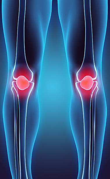 3d 일러스트레이션 of 무릎뼈, 의료 컨셉입니다. - cartilage patella human knee medical exam 뉴스 사진 이미지
