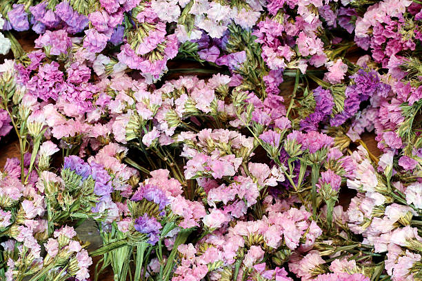 istock Flowers on the wooden floor 533566302