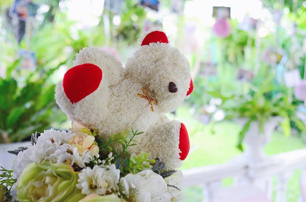 white teddy bear and Wedding Accessories background