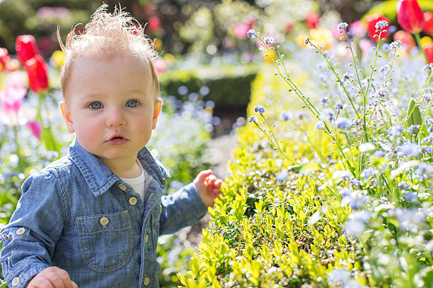 istock toddler in the park 533567138