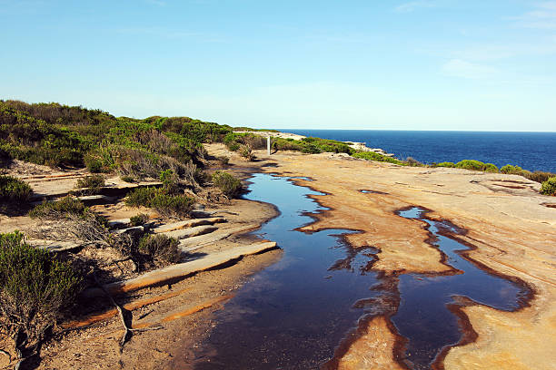 istock landscape at royal national park sydney 533567338