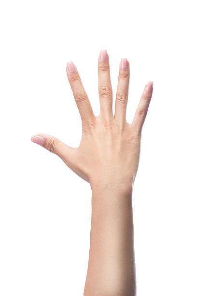 istock Counting woman hands five, number 5 533568896