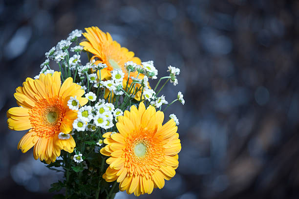 istock Bright Flower Arrangement. Camomile And Gerbera Daisies 533571078