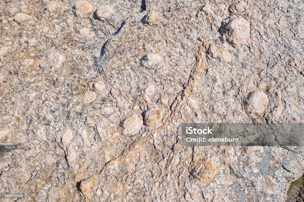 Metaphoric Textured Rocks Rock Texture Metamorphic Rocks Background Stock Photo - Download Image ...