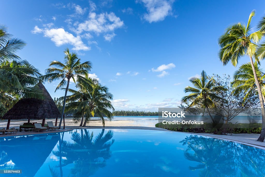 Infinity Pool at Tropical Resort on Perfect Sunny Day DSLR Picture of an Infinity Swimming pool At Tropical Resort on a sunny day. The water is clear blue and there is palm trees,chairs and the sea in the background.  New Caledonia Stock Photo