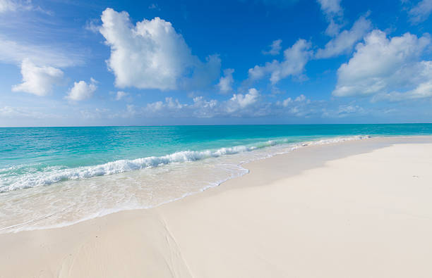 palm trees, white sand and crystal clear waters