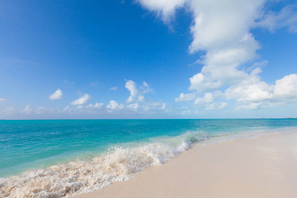 istock beautiful beach in Cayo Largo del Sur, Cuba 533576203