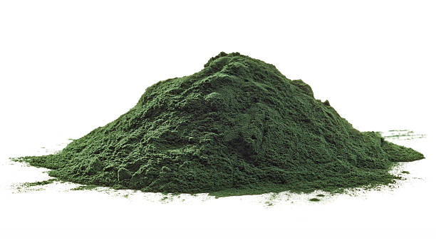 spirulina alga pó - chlorella spirulina bacterium algae nutritional supplement imagens e fotografias de stock
