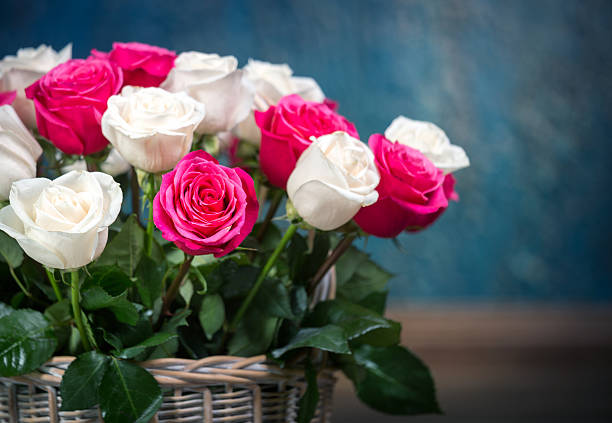 Flower arrangement of champagne and pink roses. The bouquet in a wicker basket on the left side of picture. Studio shooting on a dark-blue background