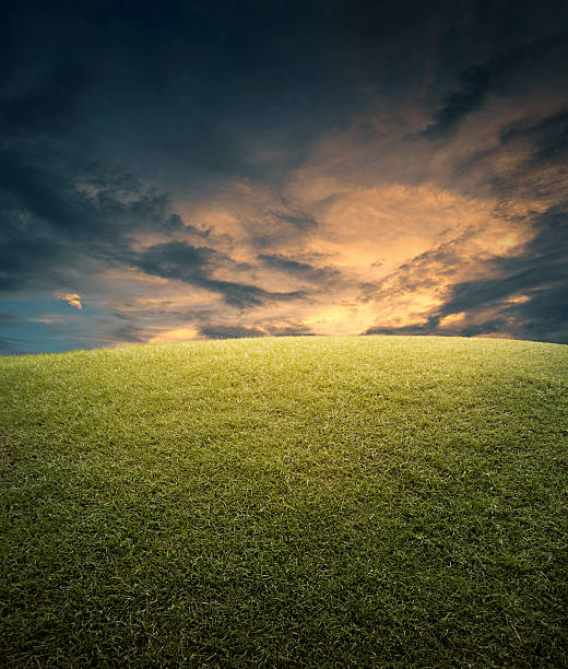 istock Empty space, field of green grass and sky 533579637