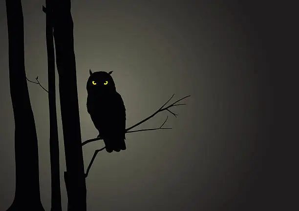 Vector illustration of Silhouette Illustration Of An Owl