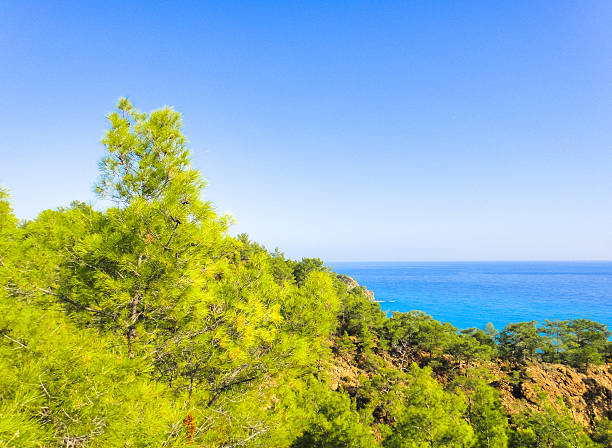 istock Asia Minor nature 533579854