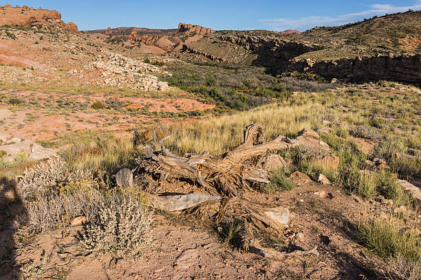 istock Utah. Arches National Park. Climbing to Delicate Arch 533580629