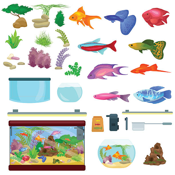 illustrations, cliparts, dessins animés et icônes de aquarium, de l'aquarium avec de l'eau, des animaux, des algues et de coraux, équipements - fish tank