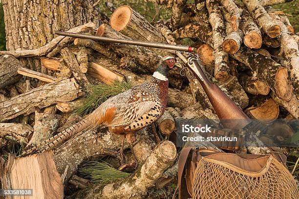 Сolorful Pheasant On A Hunting Ammunition Background Stock Photo - Download Image Now