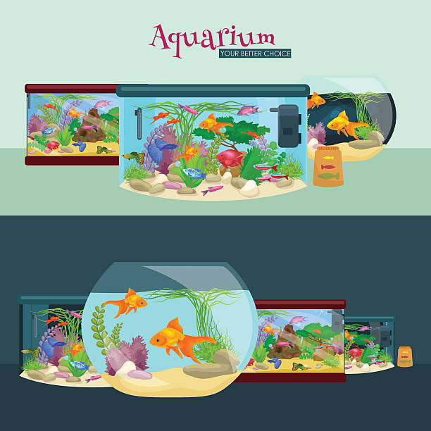 illustrations, cliparts, dessins animés et icônes de aquarium, de l'aquarium avec de l'eau, des animaux, des algues et de coraux, équipements - fish tank