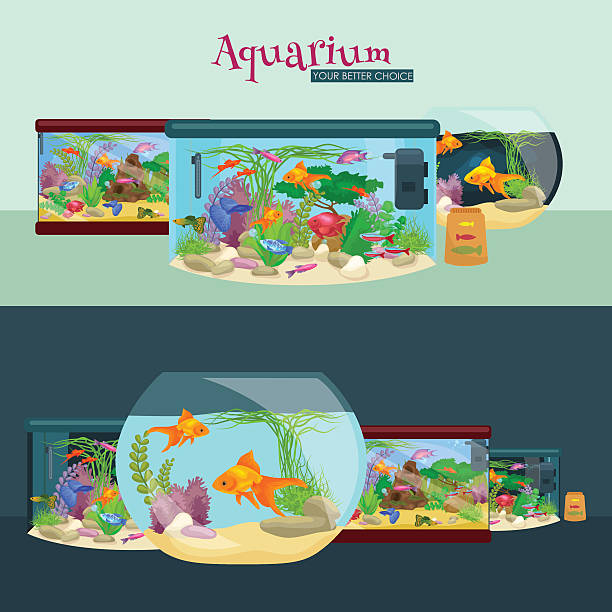 illustrazioni stock, clip art, cartoni animati e icone di tendenza di serbatoio di pesce, un acquario con acqua, animali, alghe, coralli, attrezzature - fish tank