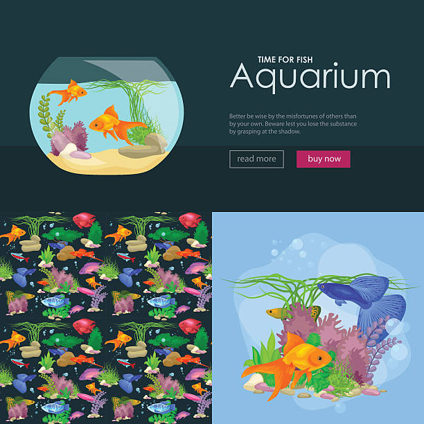 illustrations, cliparts, dessins animés et icônes de aquarium de poissons, sous l'eau aux algues, conception de modèle de bannière avec la faune marine - fish tank
