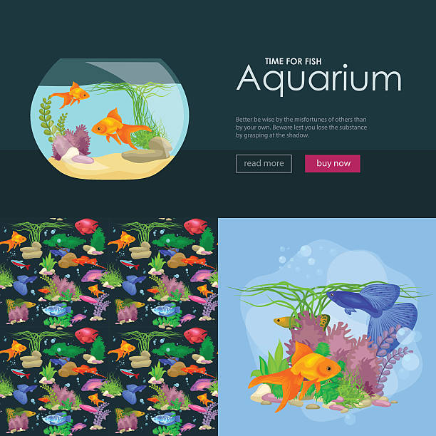 illustrazioni stock, clip art, cartoni animati e icone di tendenza di acquario di pesce e alghe sott'acqua, banner modello struttura con animali marini - fish tank