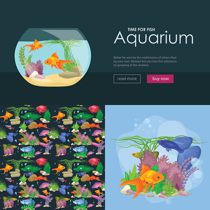 Aquarium fish, seaweed underwater, banner template layout with marine animal vector illustration