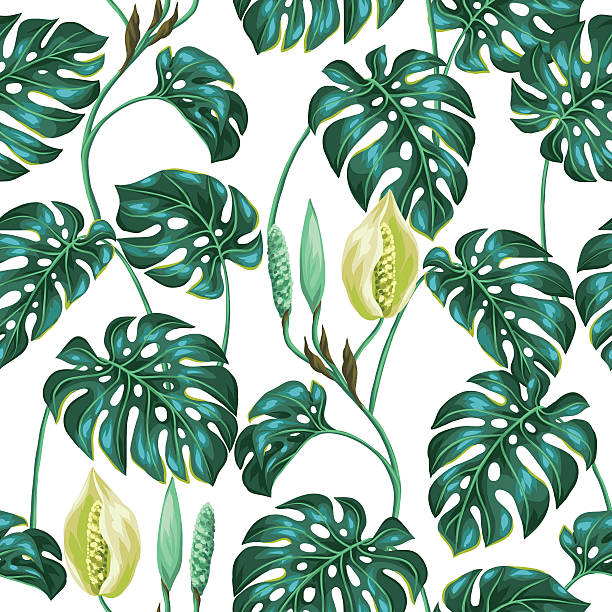 бесшовный узор с монстера листьев. декор�ативные изображение тропической растительности - cheese plant leaf tree park stock illustrations