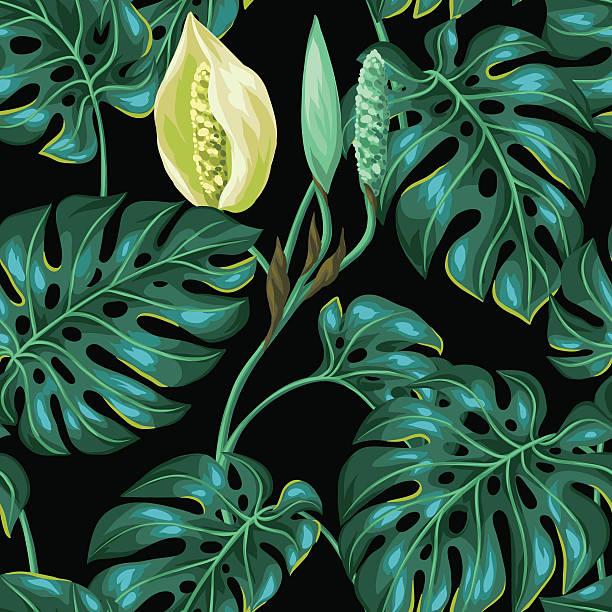 ilustrações de stock, clip art, desenhos animados e ícones de sem costura padrão com monstera folhas. decorativo imagem de folhagem tropical - cheese plant leaf tree park