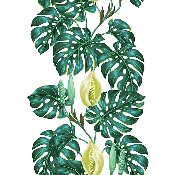 illustrazioni stock, clip art, cartoni animati e icone di tendenza di vernice motivo con foglie di monstera. decorativo immagine di vegetazione tropicale - cheese plant leaf tree park