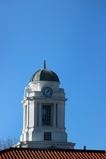 Photograph of quaint clock tower in downtown Greenville, North Carolina. White space above the clock.