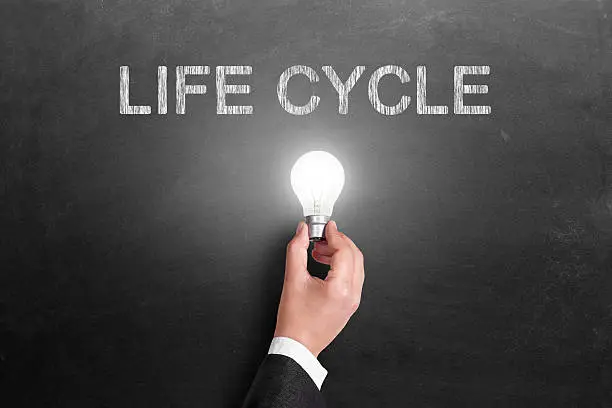 Photo of Life cycle on blackboard with businessman holding light bulb