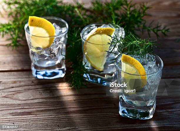 Gin With Lemon And Ice Stock Photo - Download Image Now - 2015, Alcohol - Drink, Alcohol Abuse