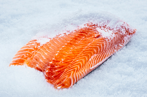 Fillet of salmon freshly preserved in snow. AdobeRGB colorspace.