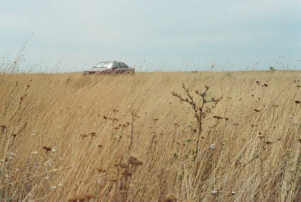 istock Car in the field 533611815